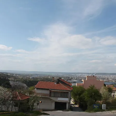 Family Ludo * ヴァルナ